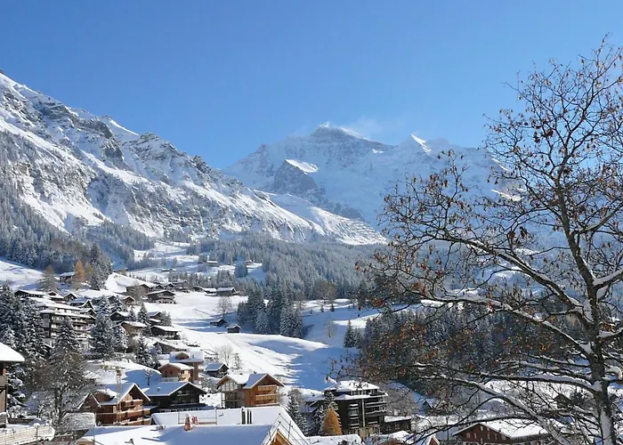 Mittaghorn Apt-8 By Interhome * Wengen